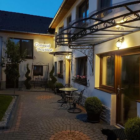 Hotel Conacul Poetilor Gura Rîului Esterno foto