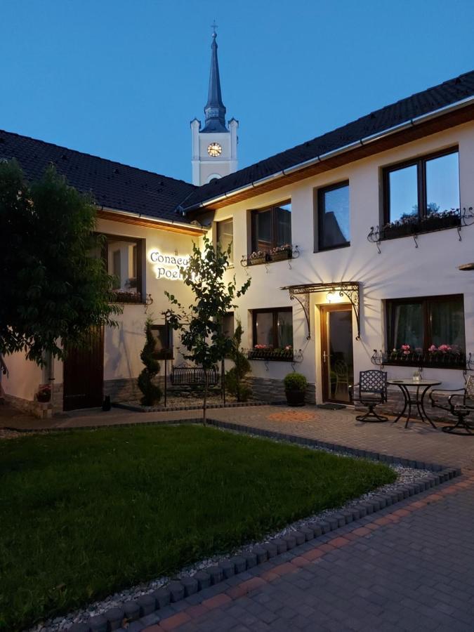 Hotel Conacul Poetilor Gura Rîului Esterno foto