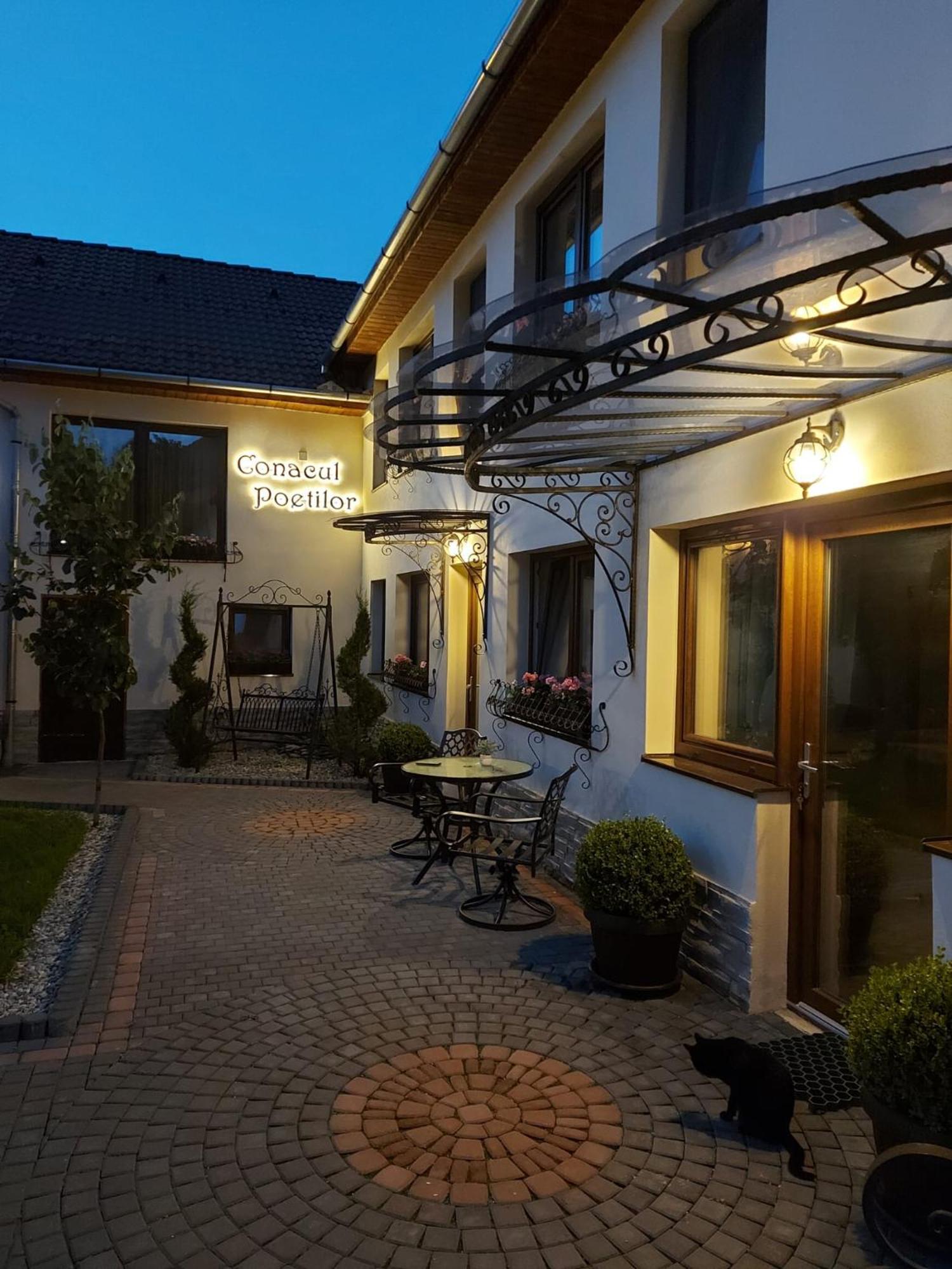 Hotel Conacul Poetilor Gura Rîului Esterno foto